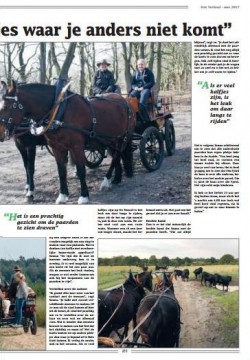 Afbeelding invoegen